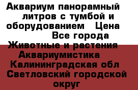 Аквариум панорамный 60 литров с тумбой и оборудованием › Цена ­ 6 000 - Все города Животные и растения » Аквариумистика   . Калининградская обл.,Светловский городской округ 